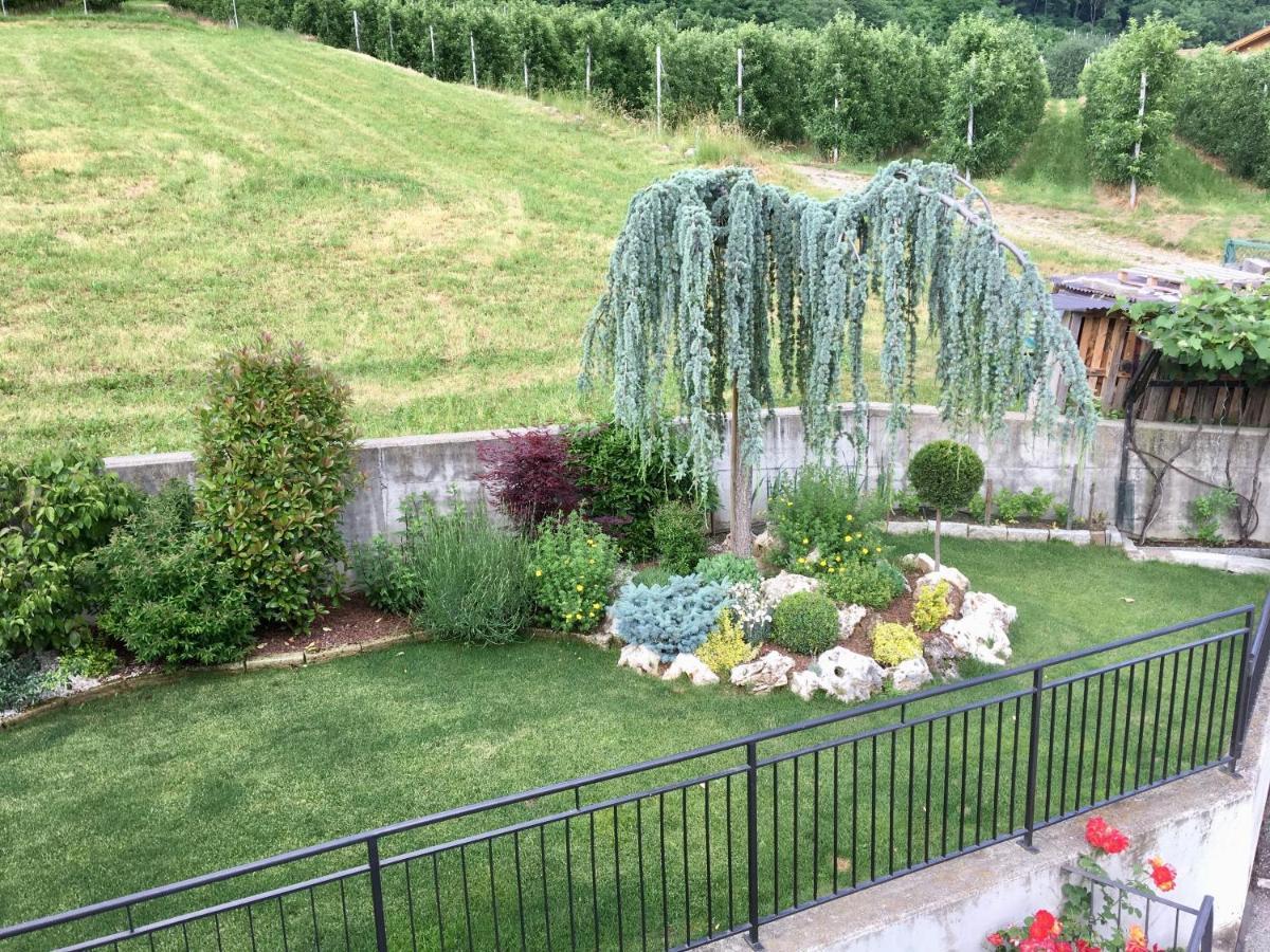 테르졸라 Mansarda Con Giardino Val Di Sole Trentino 아파트 외부 사진